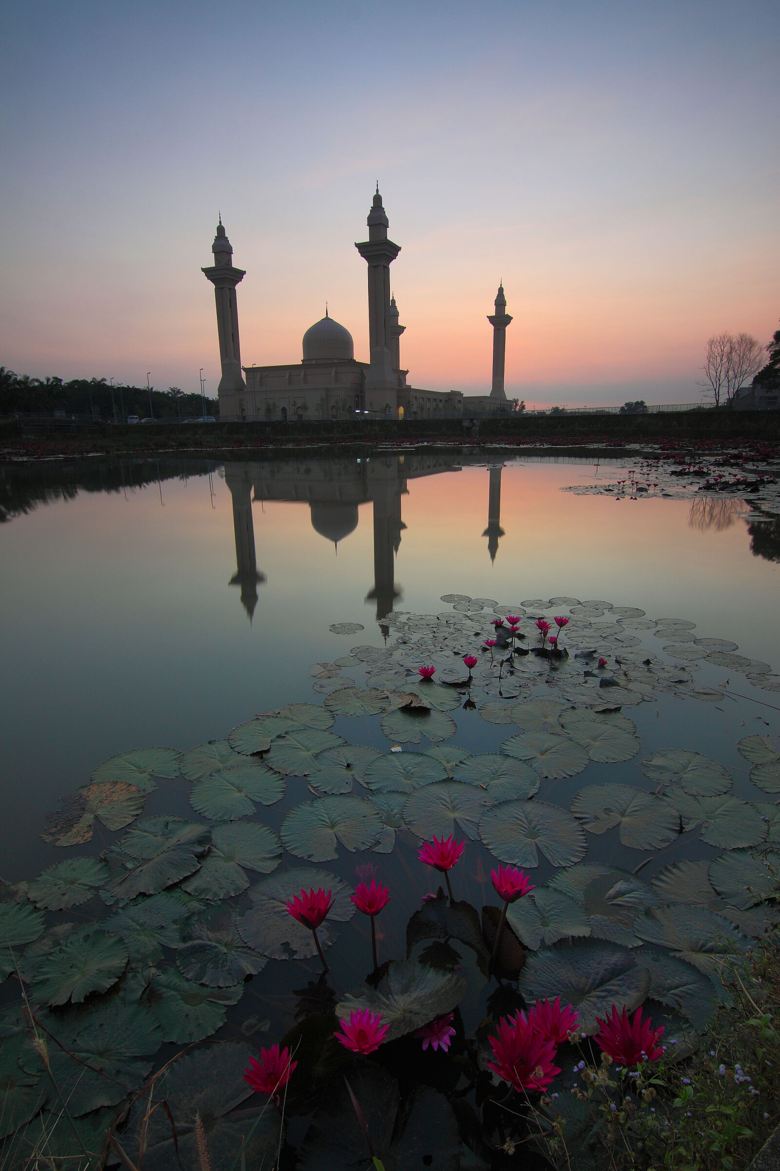 Canon EOS 50D sample photo. Architecture, building, clouds, flowers photography