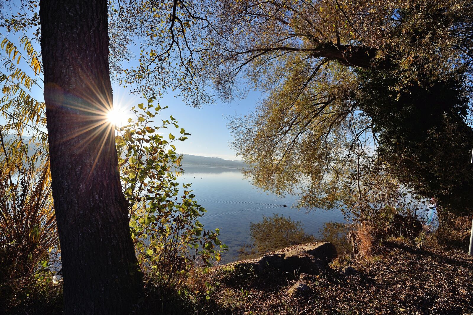 Nikon D4S sample photo. Sempachersee, sempach lake, sempach photography