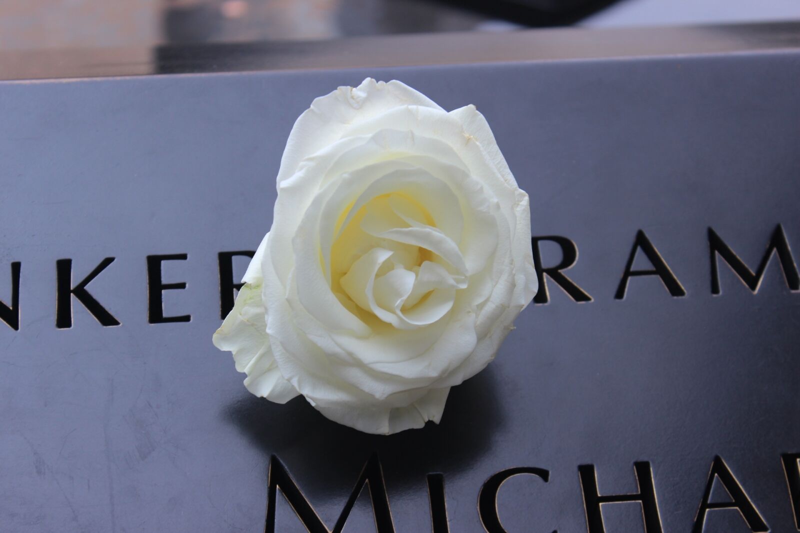 Canon EOS 600D (Rebel EOS T3i / EOS Kiss X5) sample photo. Ground zero, new york photography