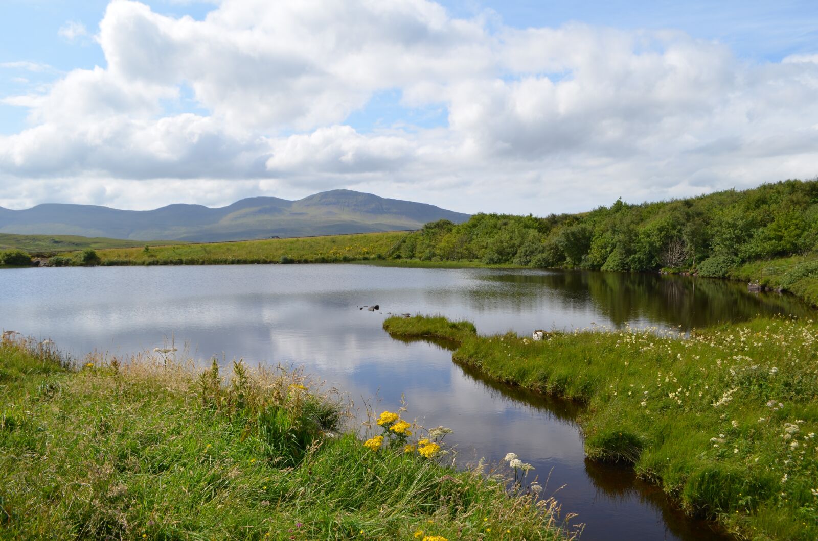 Nikon D5100 sample photo. Mirror, lake, nature photography