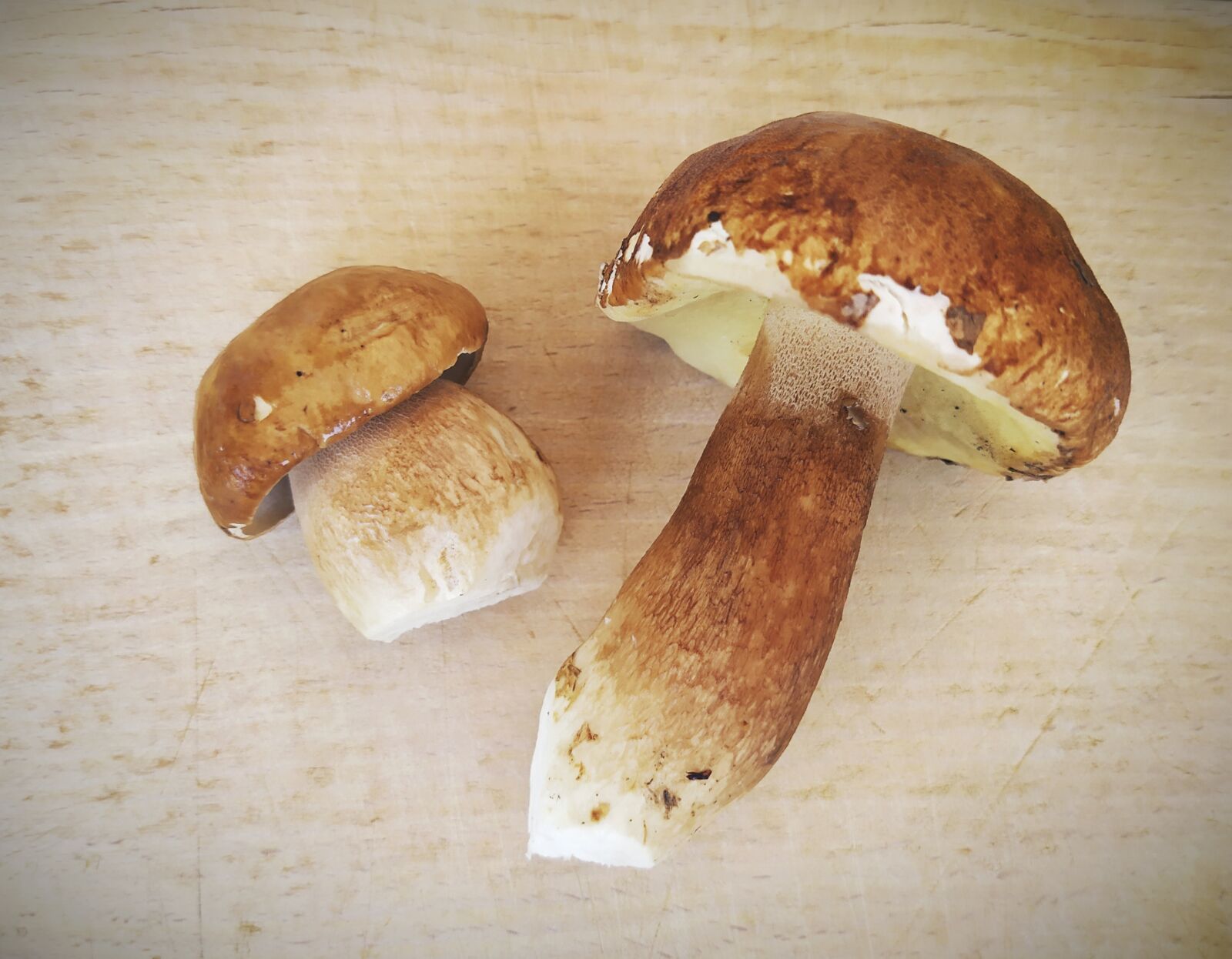 Xiaomi Redmi Note 7 sample photo. Penny bun, boletus edulis photography