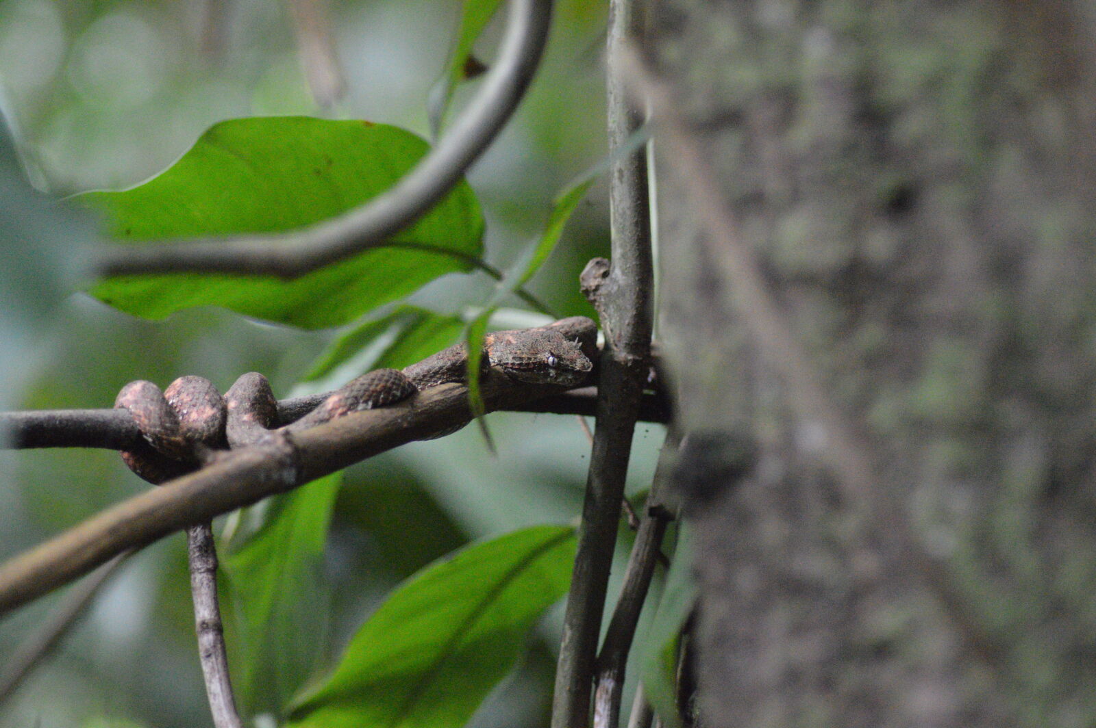 Nikon D3200 sample photo