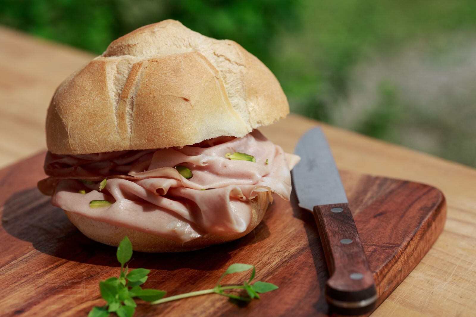Canon EF 100mm F2.8 Macro USM sample photo. Mortadella, sandwich, bread photography