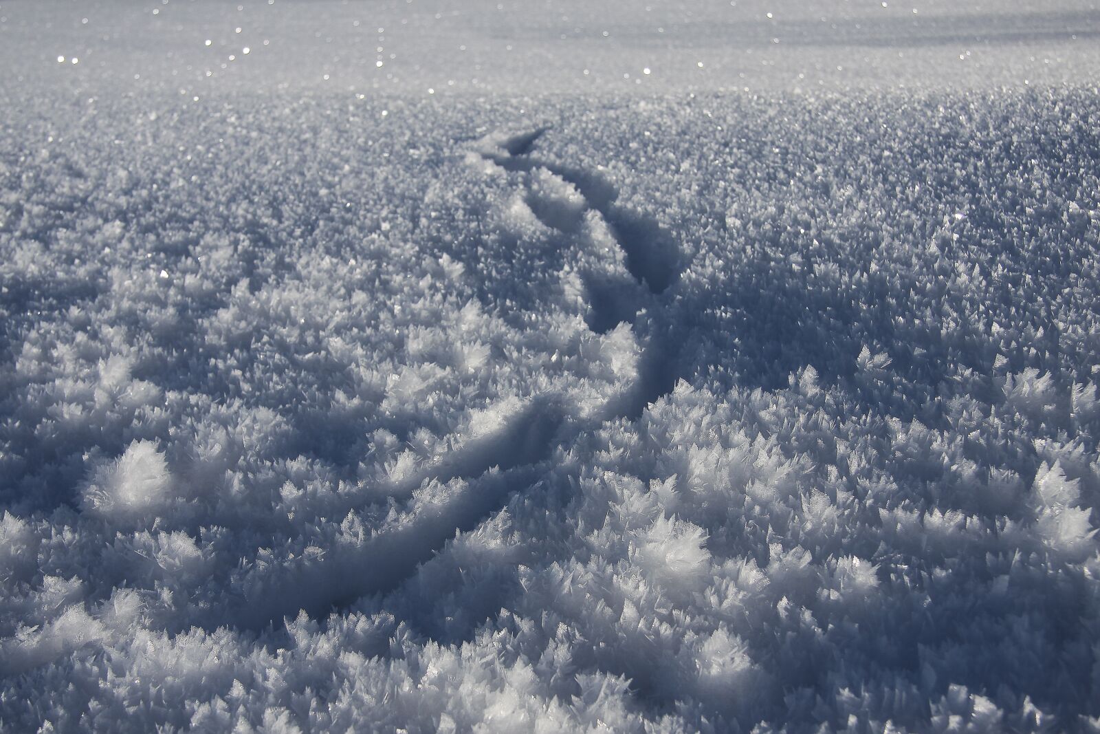Canon EOS 50D sample photo. Eiskristalle, snow, trace photography