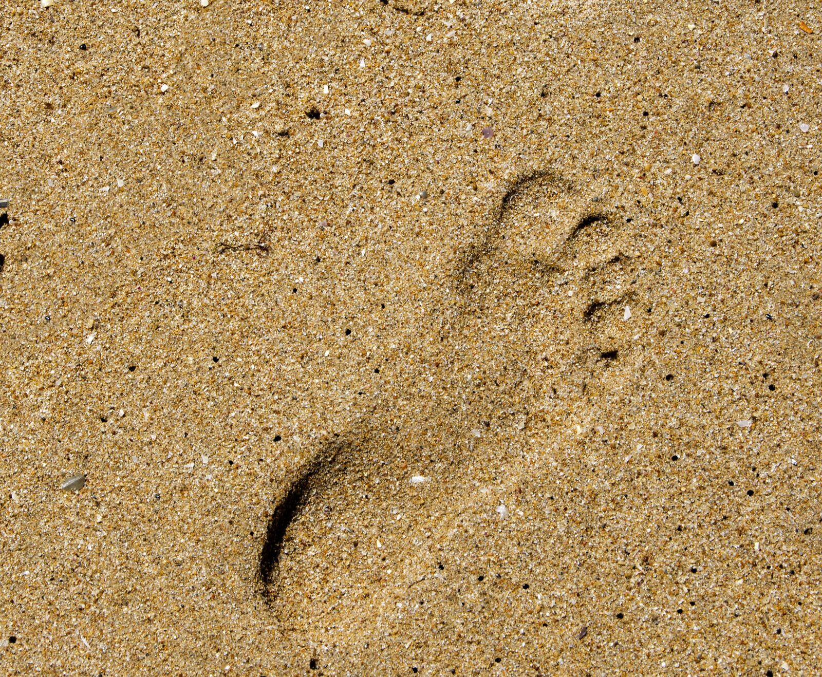 Nikon D5100 sample photo. Footprint, sand, beach photography