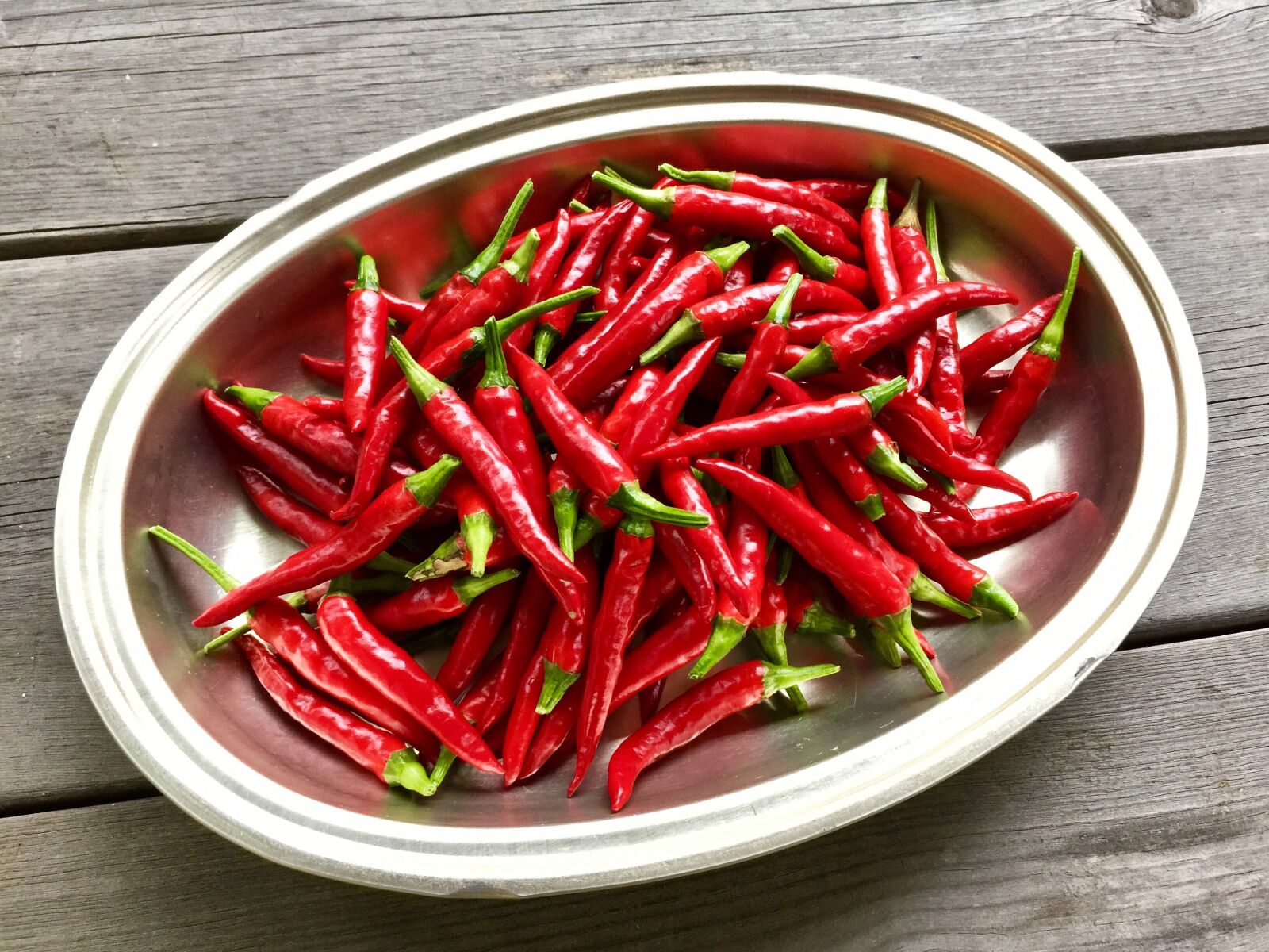 iPhone 6 Plus back camera 4.15mm f/2.2 sample photo. Cayenne pepper, claw of photography