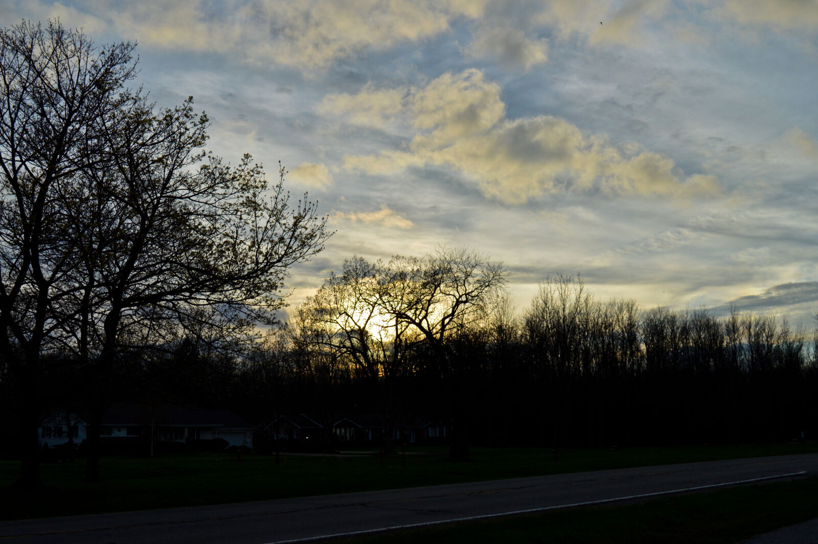 Nikon D3200 sample photo. Blue, sky, sunset, tree photography