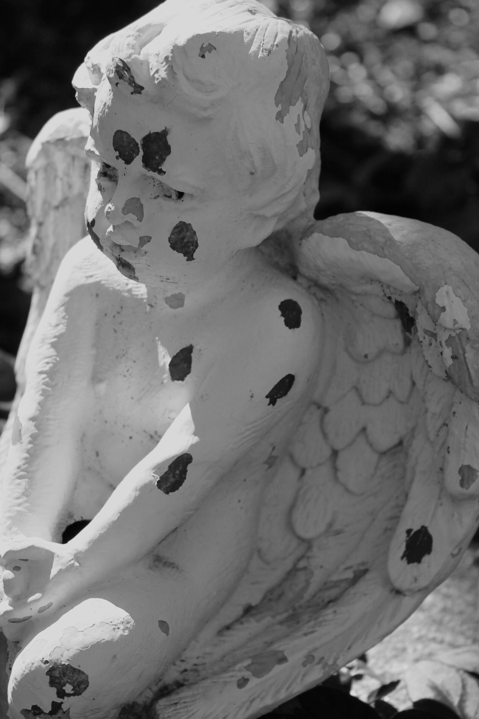 Canon EOS 1100D (EOS Rebel T3 / EOS Kiss X50) sample photo. Angel, shadow, garden photography