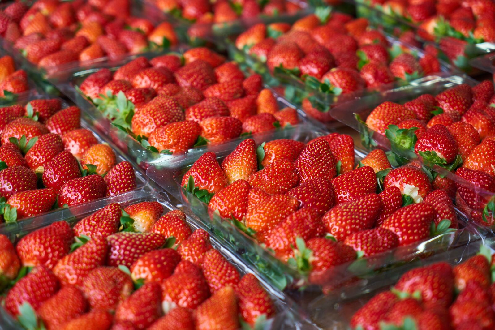 Sony a7R II sample photo. Strawberry, fruit, fresh photography