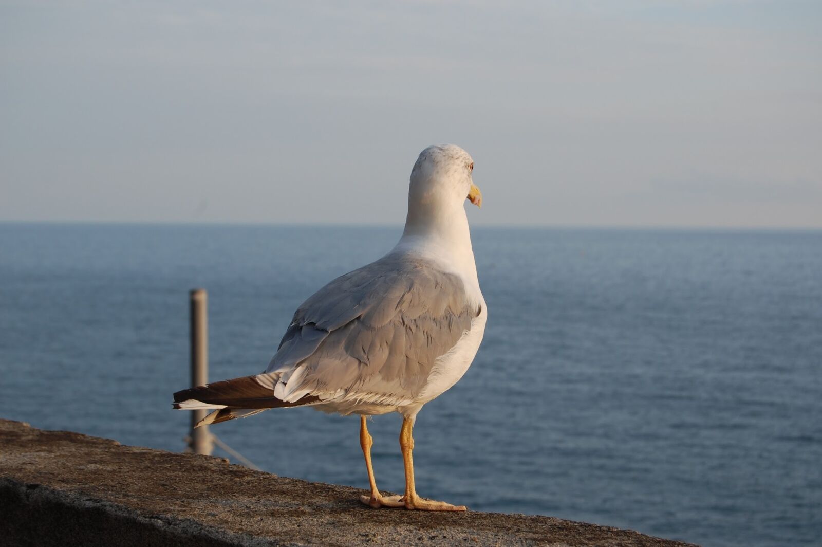 Nikon D40 sample photo. Sea, waters, beach photography