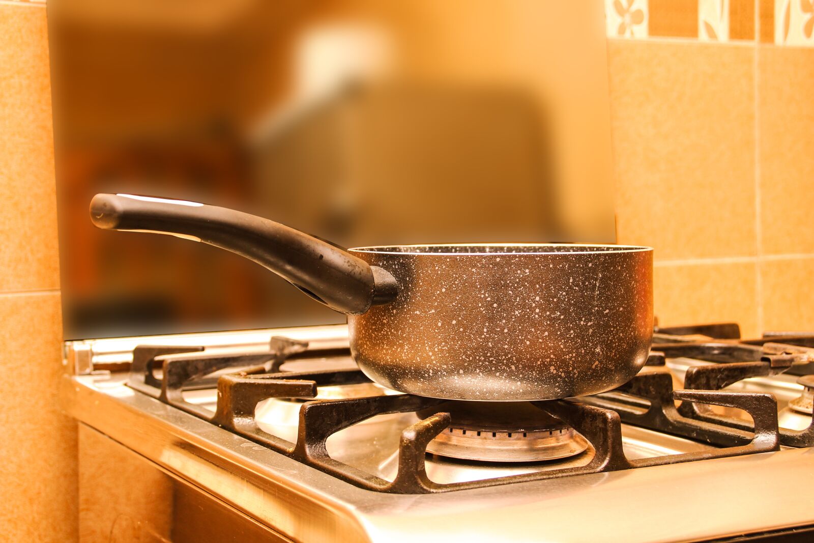 Canon EOS 600D (Rebel EOS T3i / EOS Kiss X5) sample photo. Pan, stove, fire photography