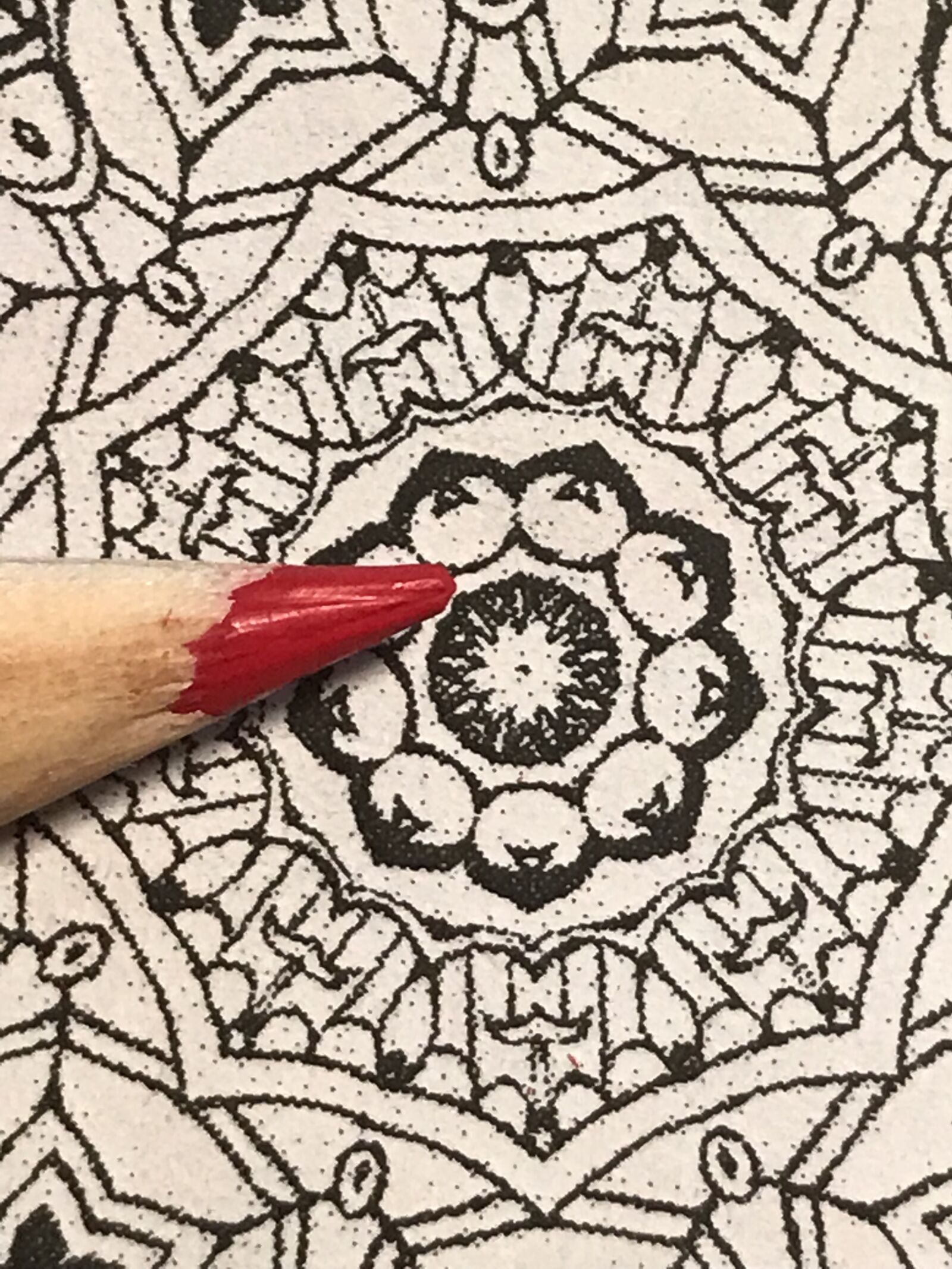 iPhone 7 back camera 3.99mm f/1.8 sample photo. Mandala, art, coloring photography