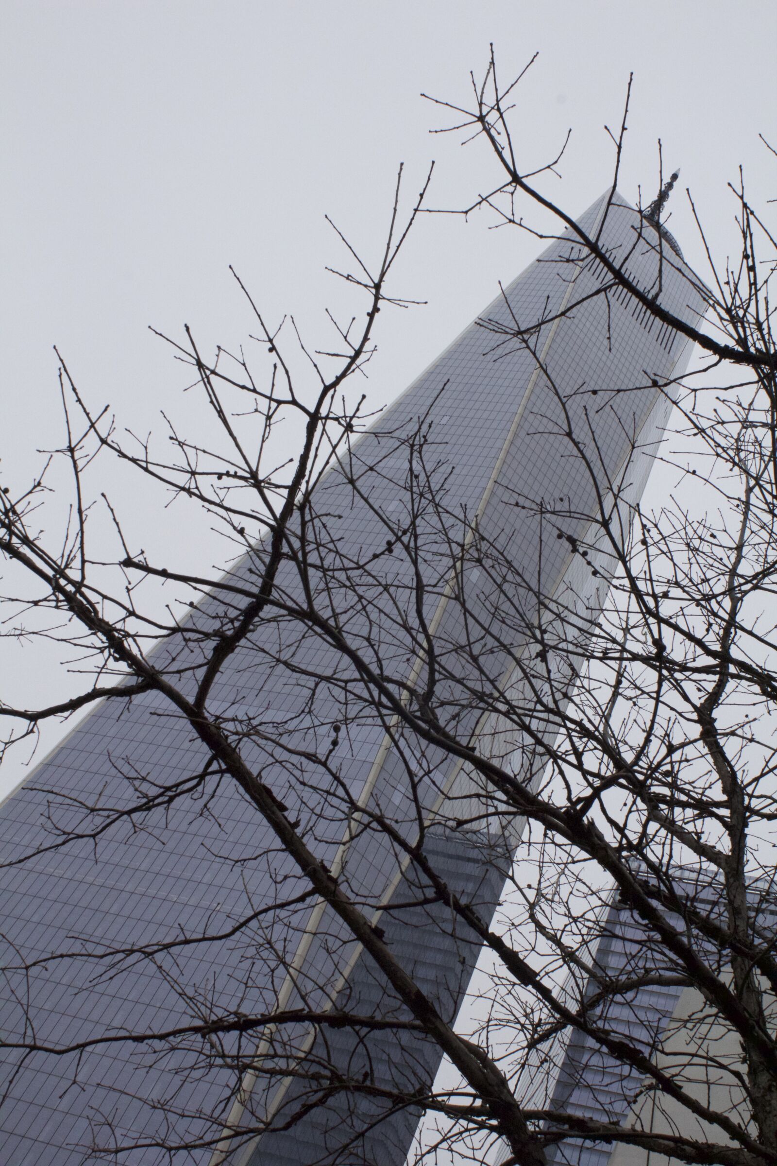 Canon EOS 600D (Rebel EOS T3i / EOS Kiss X5) sample photo. Worldtradecenter photography