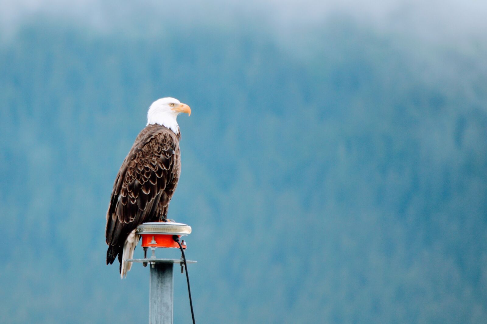 Nikon D3200 sample photo. Seward, cruse, alaska photography