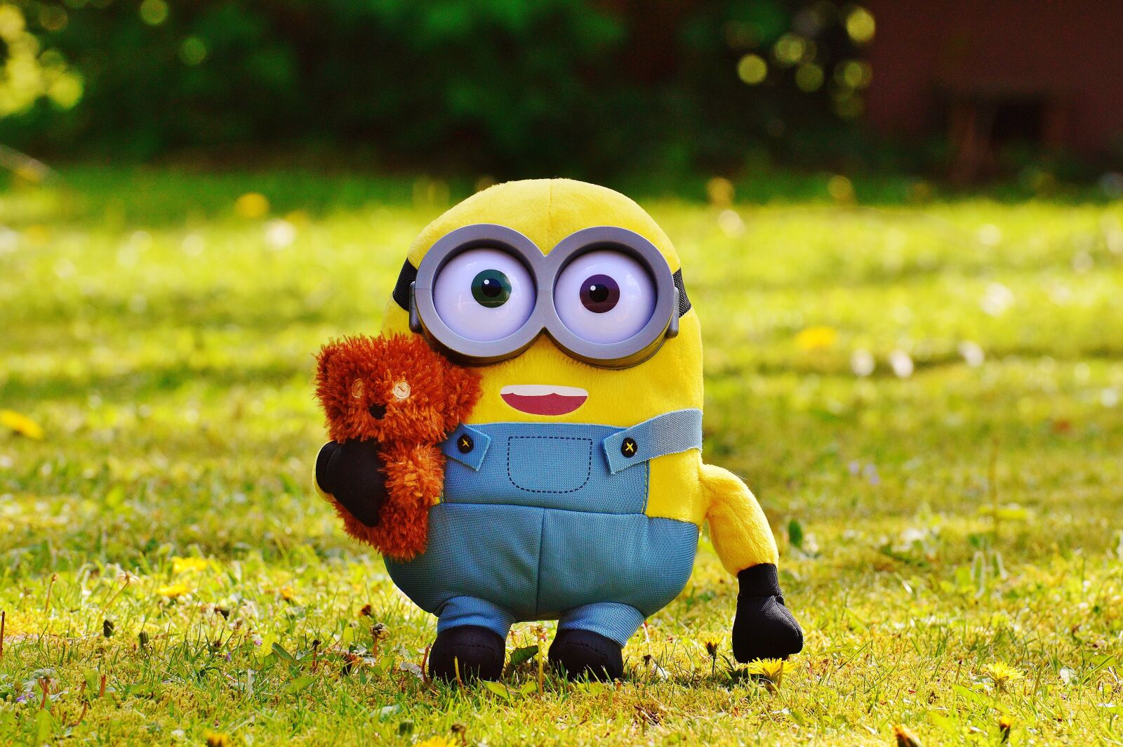 Nikon D3200 sample photo. Minion, funny, figure photography
