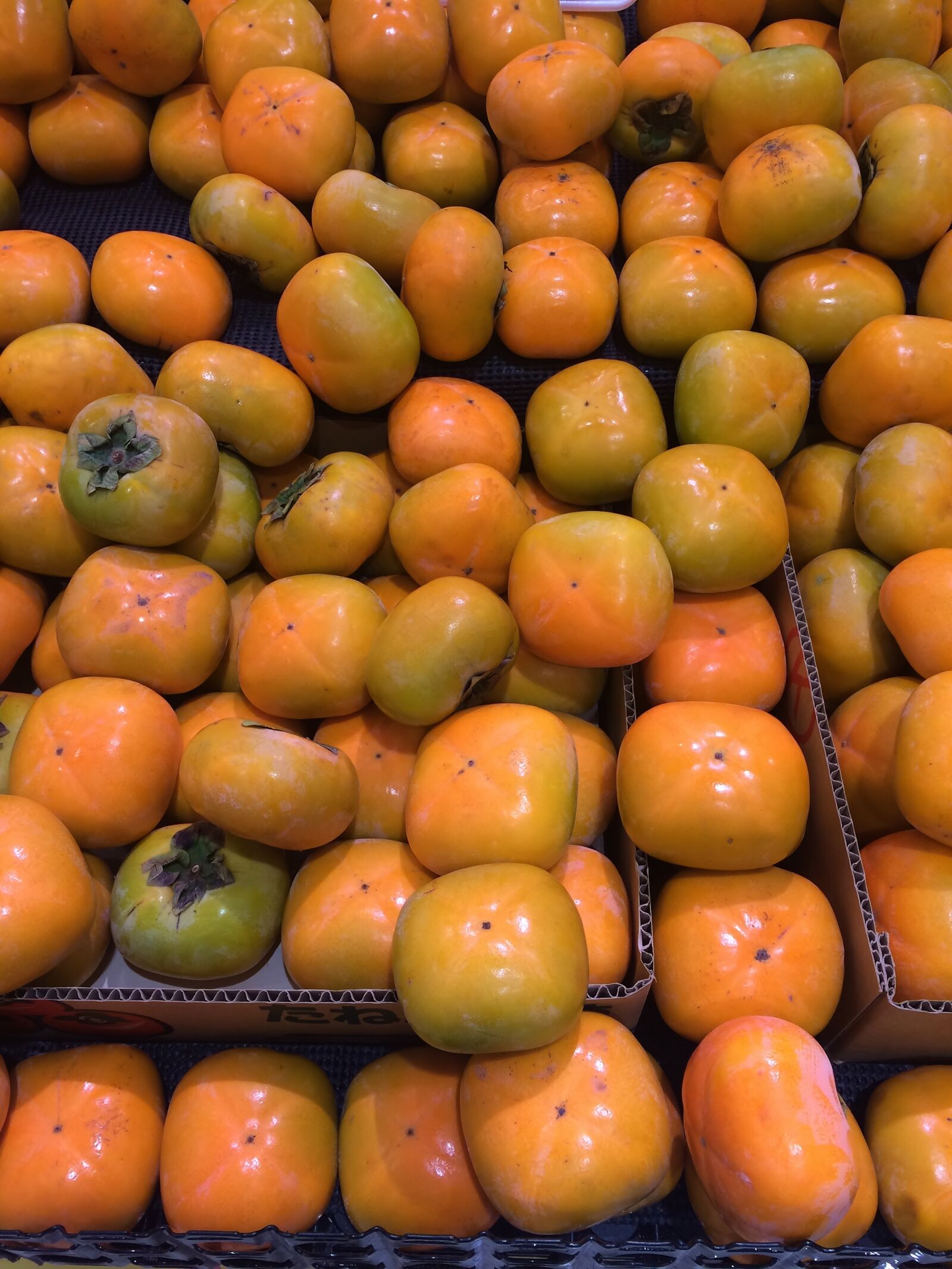 iPhone 5s back camera 4.15mm f/2.2 sample photo. Persimmon, young and vivacious photography