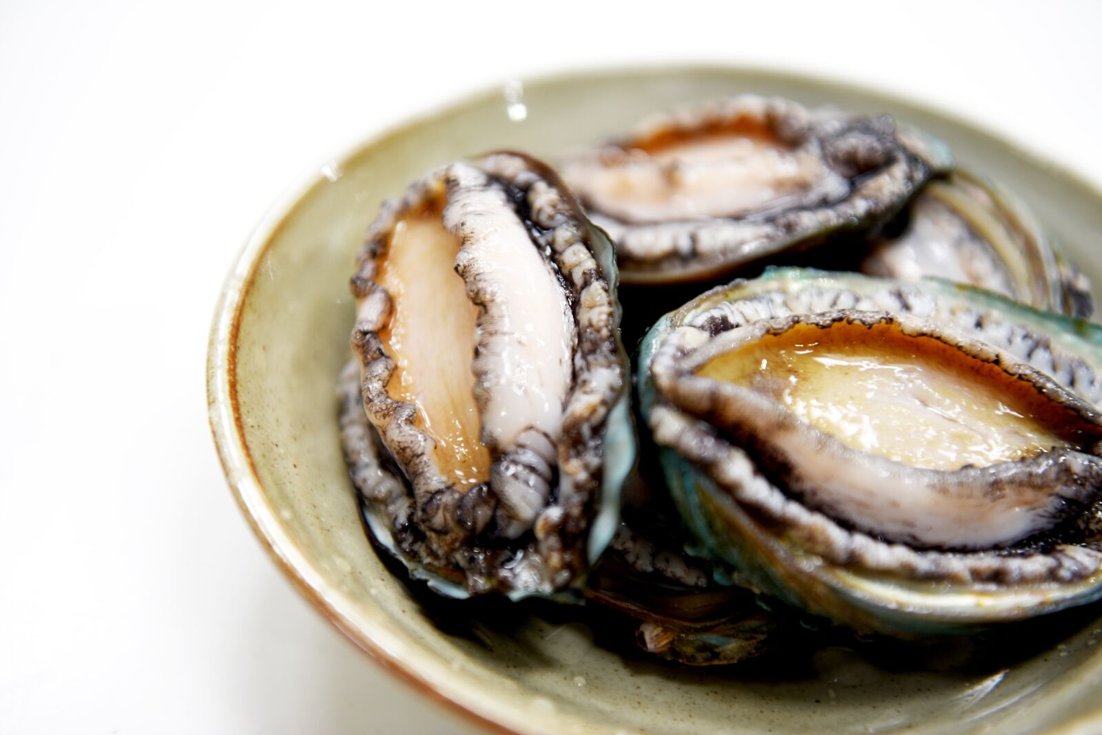 Nikon D750 sample photo. Abalone, wando abalone, korean photography