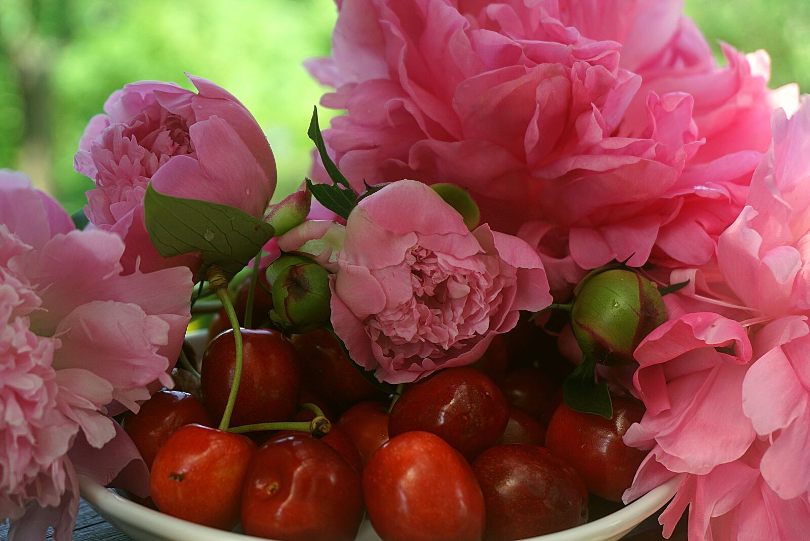 Sony a6000 sample photo. Cherry ripe, red, peonies photography