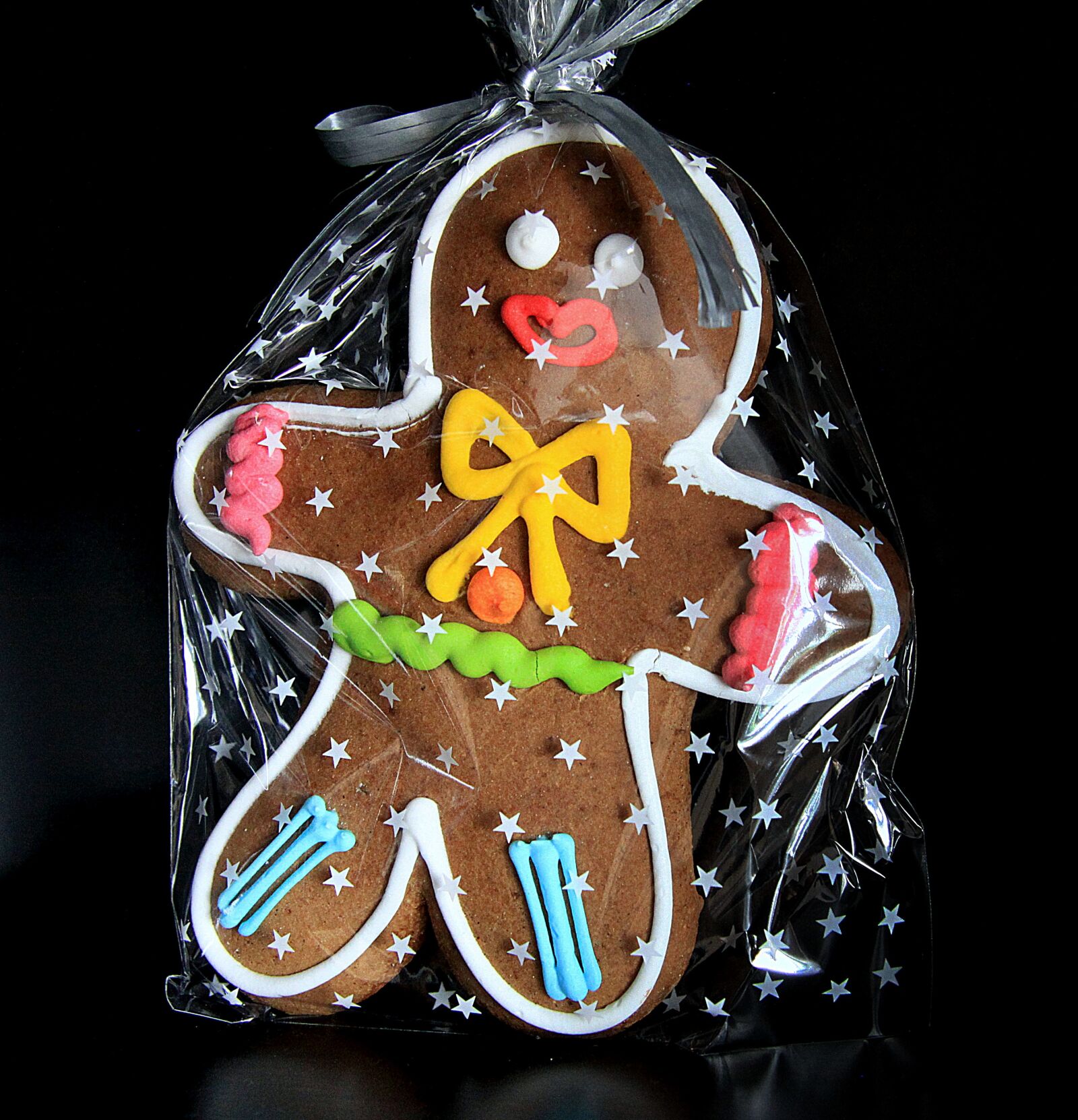 Canon EOS 50D sample photo. The cake, gingerbread, decoration photography