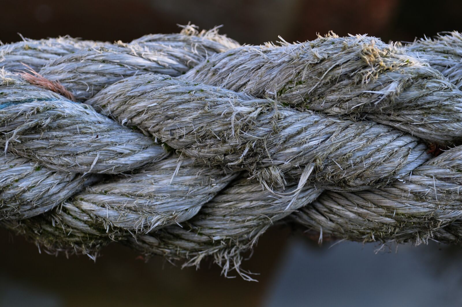 Nikon D5000 sample photo. Rope, texture, node photography