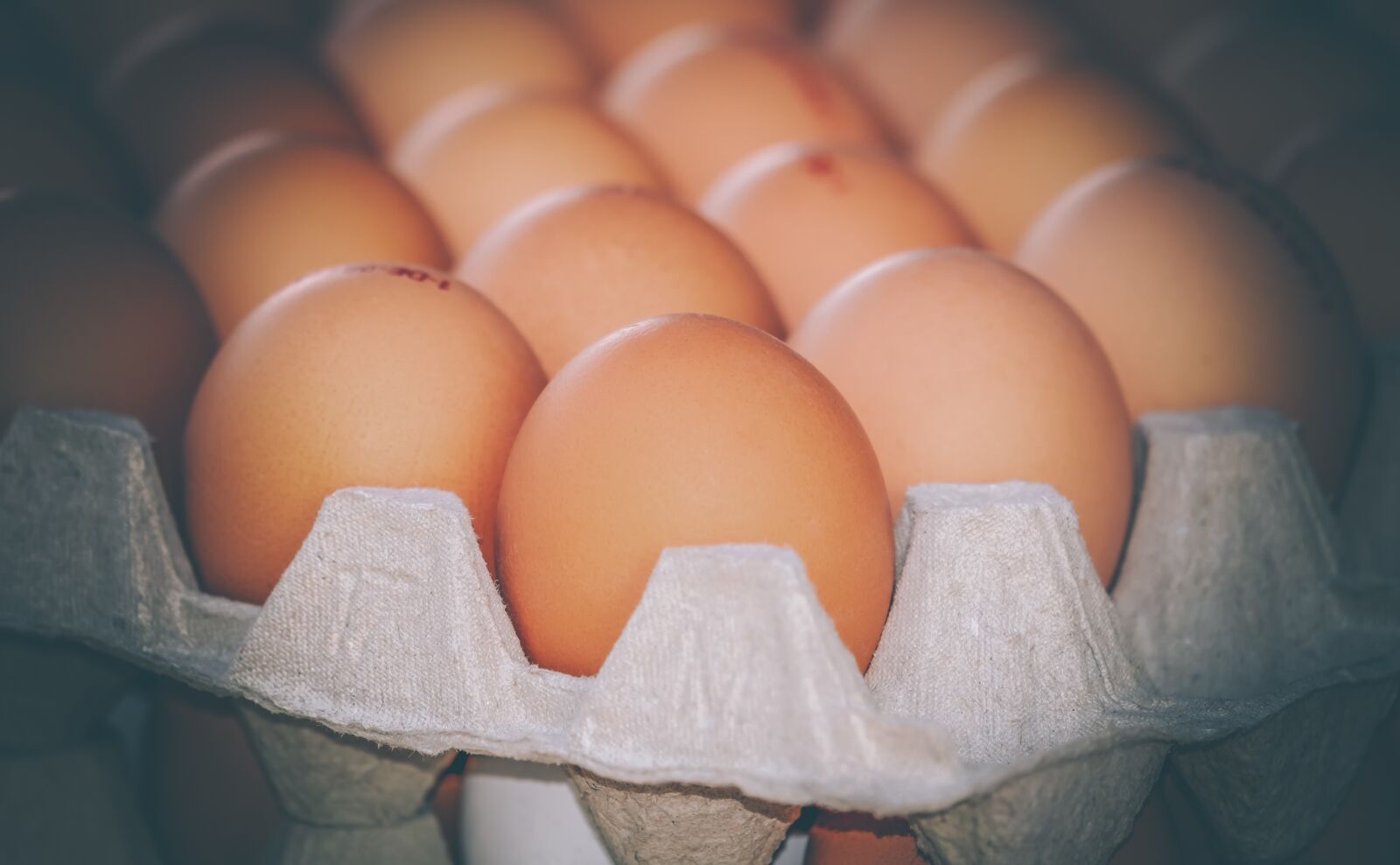 Fujifilm XF 55-200mm F3.5-4.8 R LM OIS sample photo. Egg, chicken eggs, chicken photography