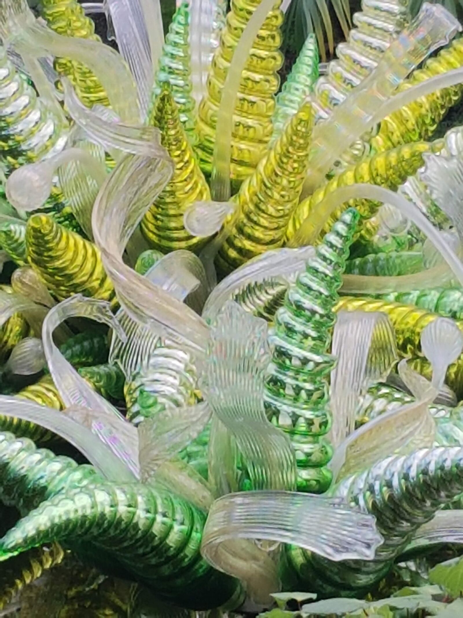 Samsung Galaxy S7 Edge sample photo. Chihuly, kew, glass photography