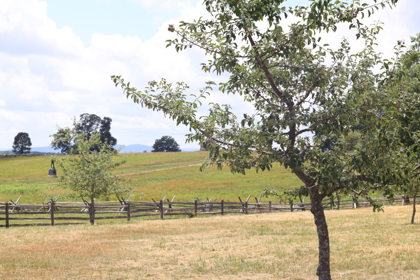 Canon EOS M50 (EOS Kiss M) sample photo. Nature, park, landscape photography