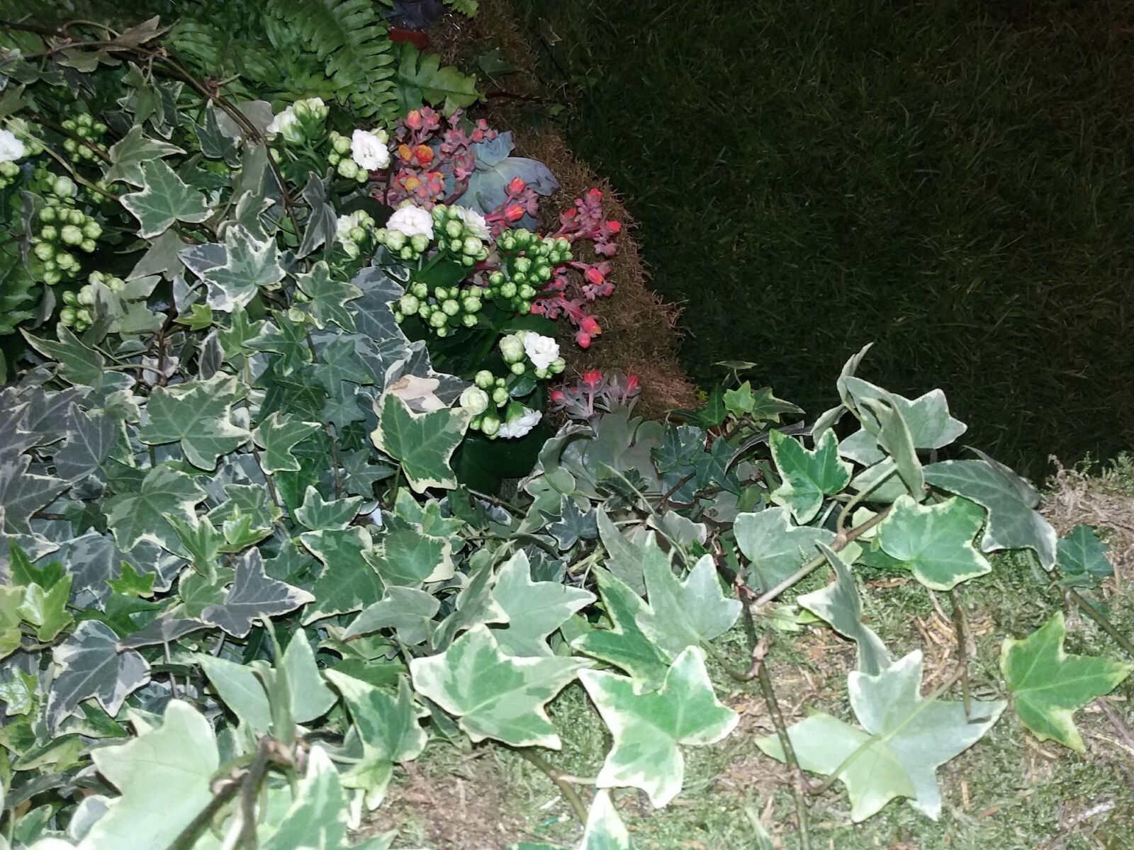 Samsung Galaxy J3(2016) sample photo