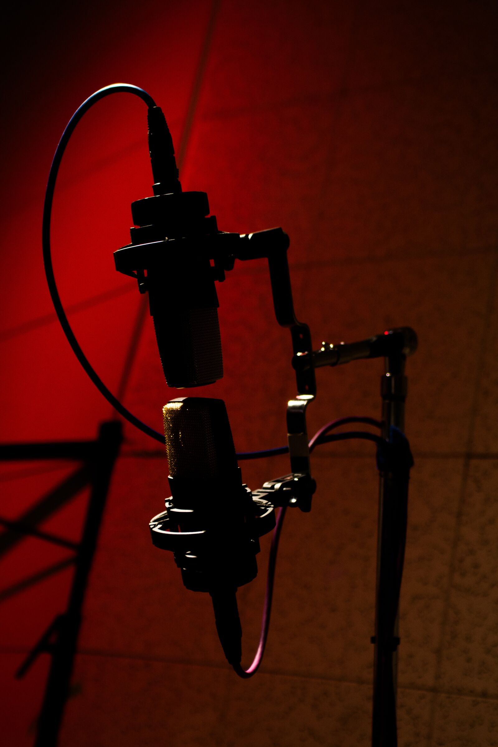 Canon EOS 550D (EOS Rebel T2i / EOS Kiss X4) sample photo. Microphone, red photography