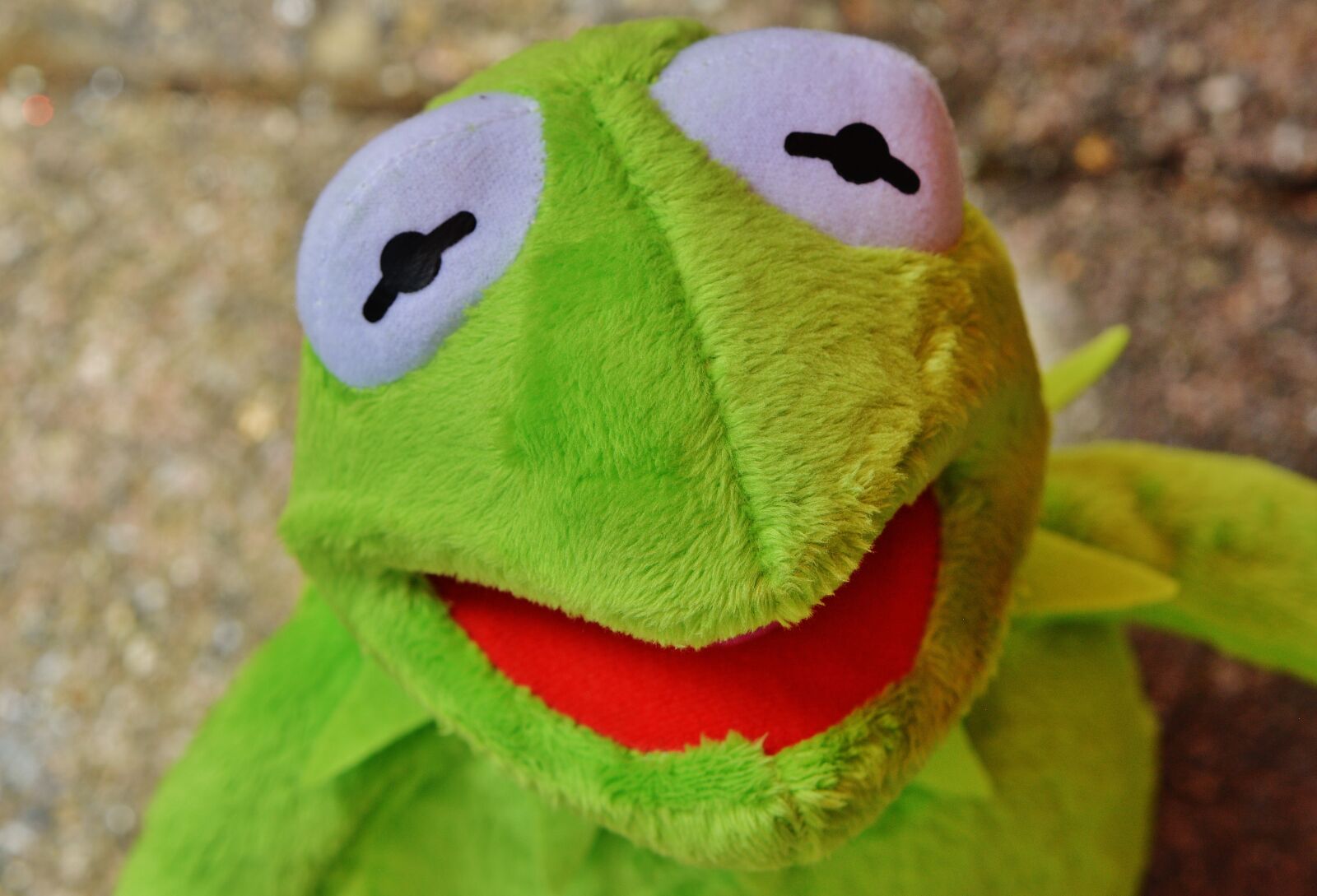 Nikon D3200 sample photo. Kermit, frog, figure photography