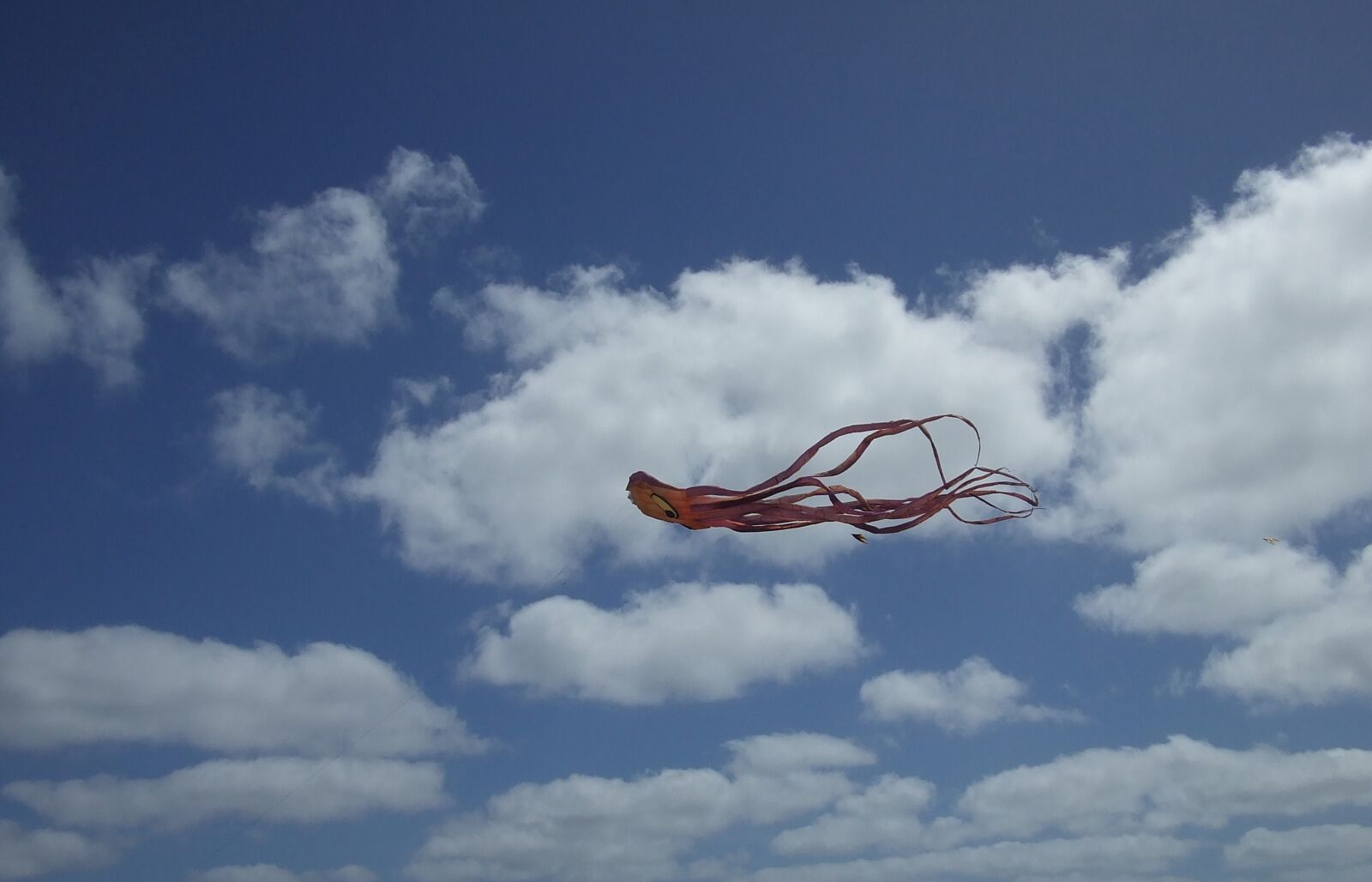 Fujifilm FinePix A610 sample photo. Kite, sky, clouds photography