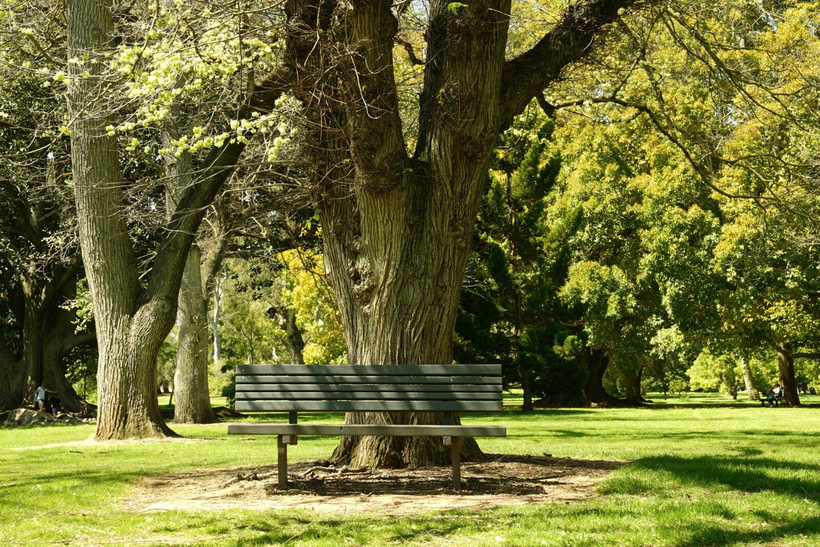 Sony a7S + Sony FE 24-70mm F2.8 GM sample photo. Bench, tranquillity, park photography
