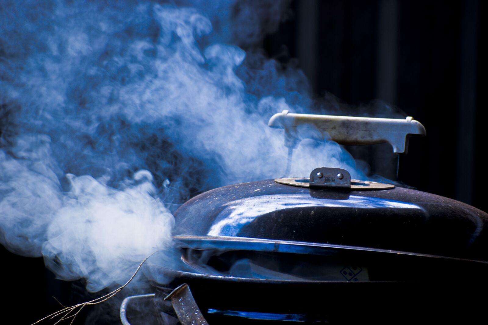 Nikon D3500 sample photo. Bbq, barbecue smoke, cookout photography