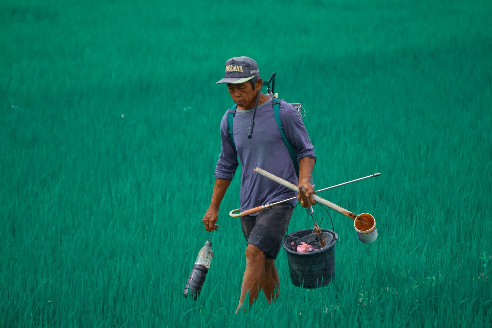 Nikon D3300 sample photo. Farmer, tani, field photography