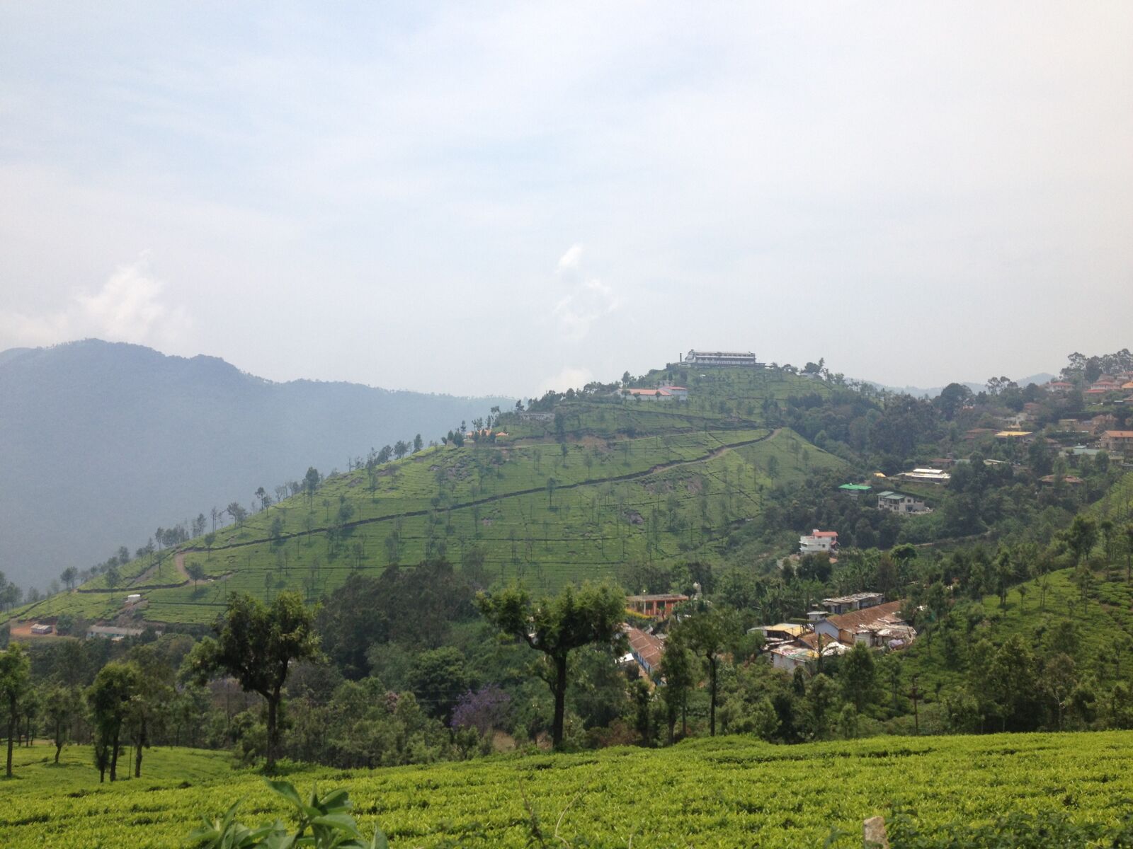 iPhone 4S back camera 4.28mm f/2.4 sample photo. India, ooty, tea plantations photography