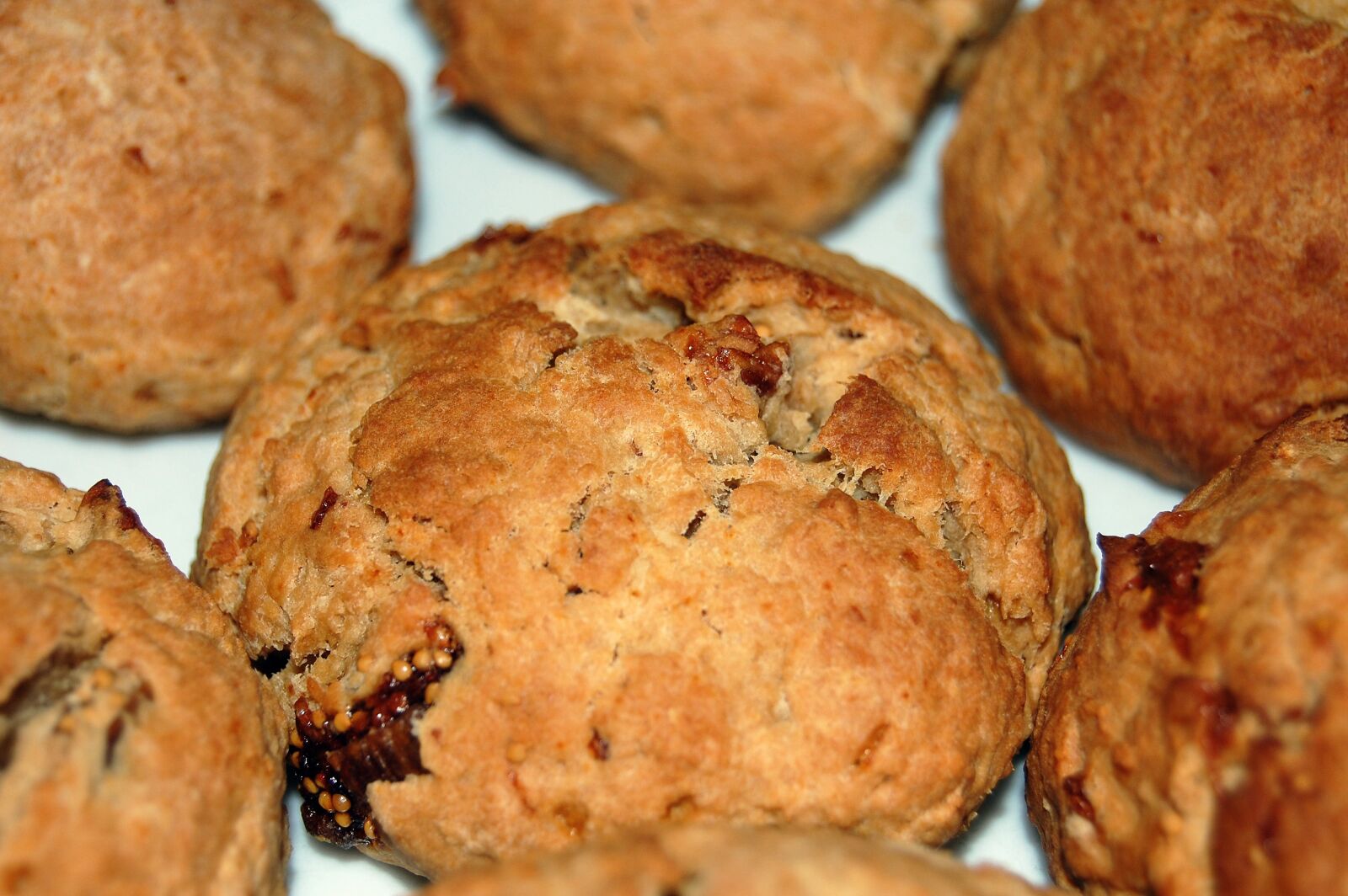 Nikon D40 sample photo. Fat thursday, figs, rolls photography
