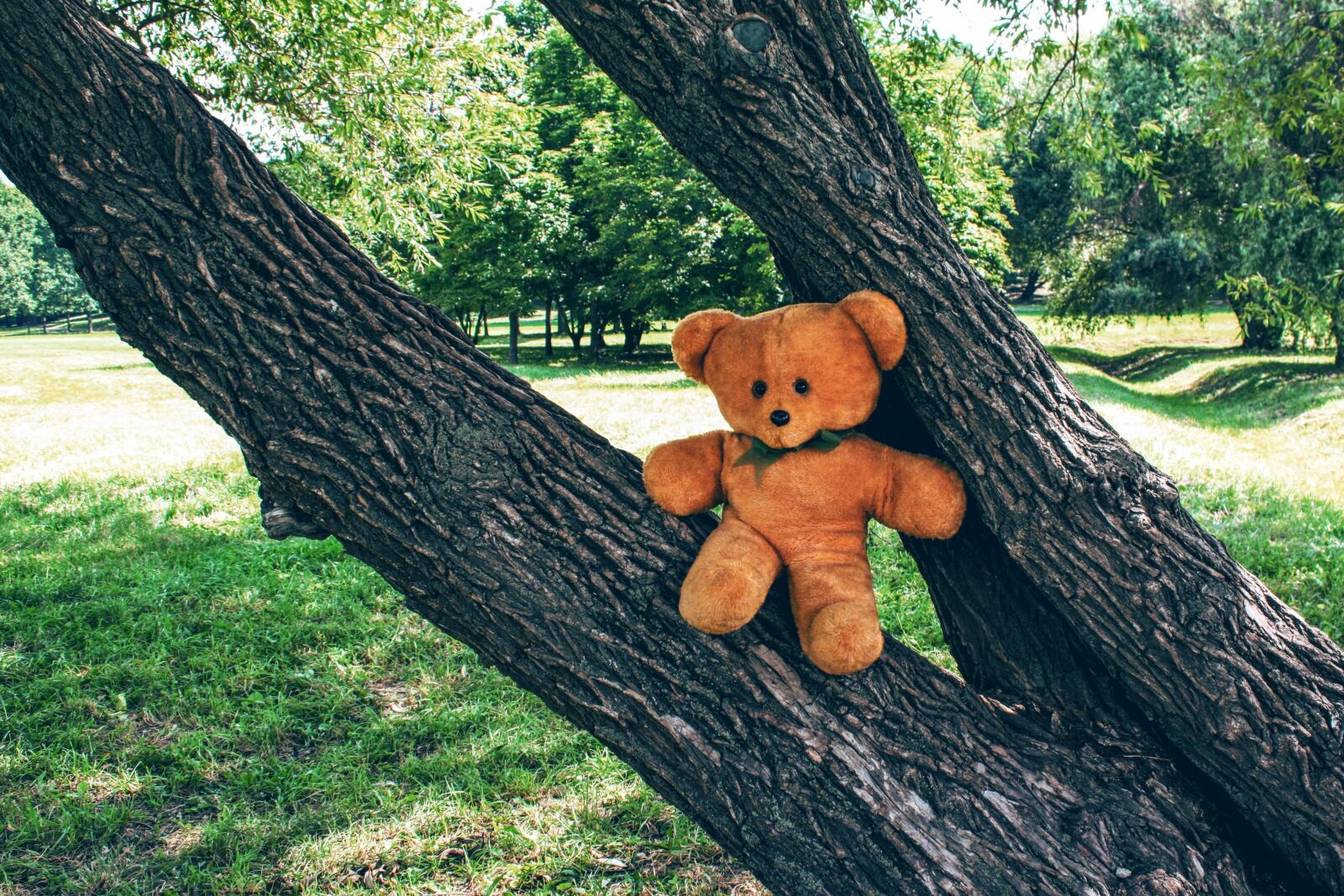 Canon EOS 450D (EOS Rebel XSi / EOS Kiss X2) sample photo. Soviet union, toy, bear photography