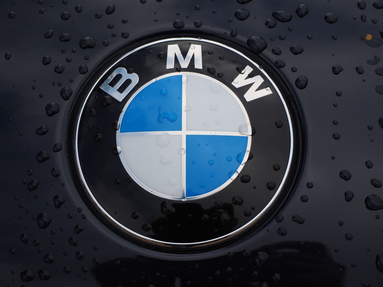 Olympus OM-D E-M1 + Olympus M.Zuiko Digital ED 12-40mm F2.8 Pro sample photo. Bmw, logo, car brand photography