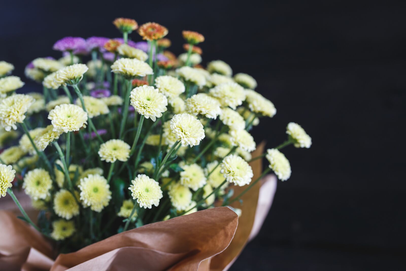Canon EOS 6D sample photo. Calimero, flower, colorful photography