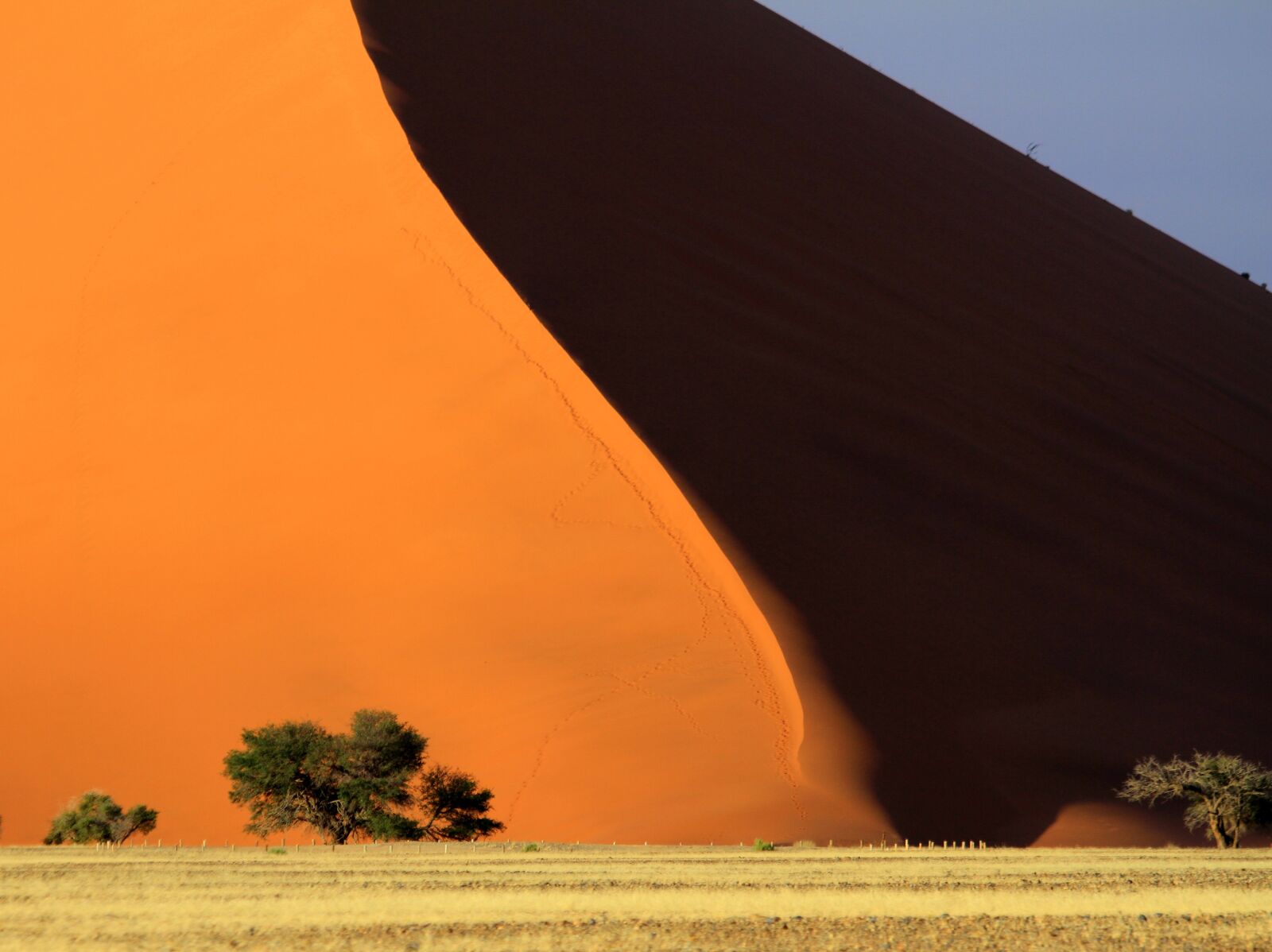 Canon EOS 7D sample photo. Desert, sand, panoramic photography