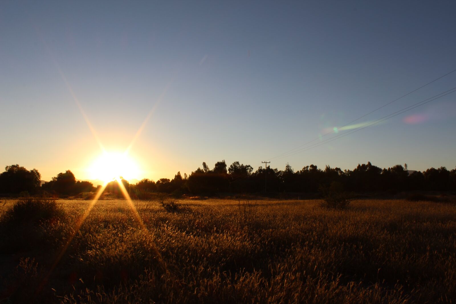 Canon EOS 600D (Rebel EOS T3i / EOS Kiss X5) sample photo. Sunset, autumn, nature photography