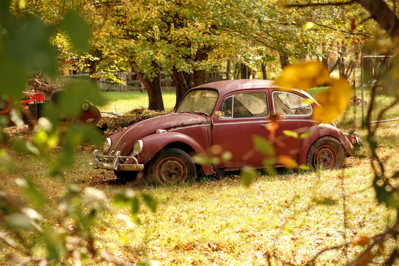 Canon EOS 450D (EOS Rebel XSi / EOS Kiss X2) + Canon EF 50mm F1.8 II sample photo. Car, old, oldtimer, volkswagen photography