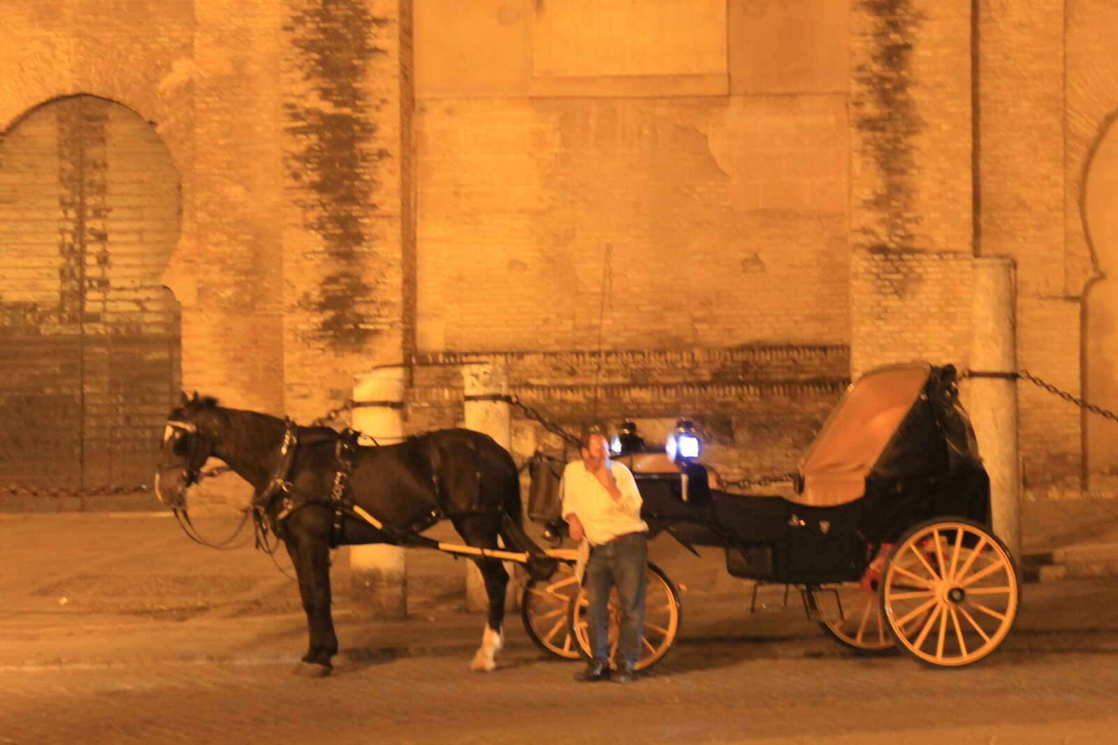 Canon EOS 1100D (EOS Rebel T3 / EOS Kiss X50) sample photo. Seville photography
