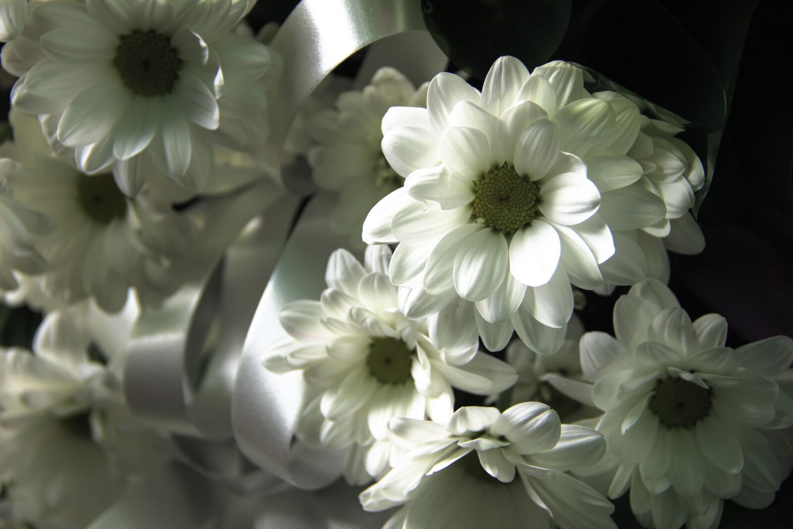 Canon EOS 650D (EOS Rebel T4i / EOS Kiss X6i) sample photo. Bouquet, flowers, beautiful flowers photography