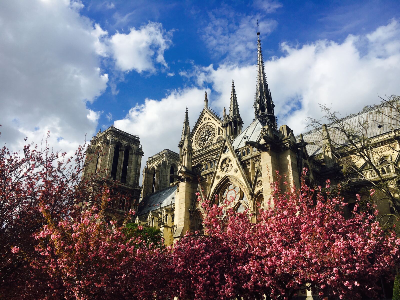 iPhone 6s back camera 4.15mm f/2.2 sample photo. Notredam, church photography