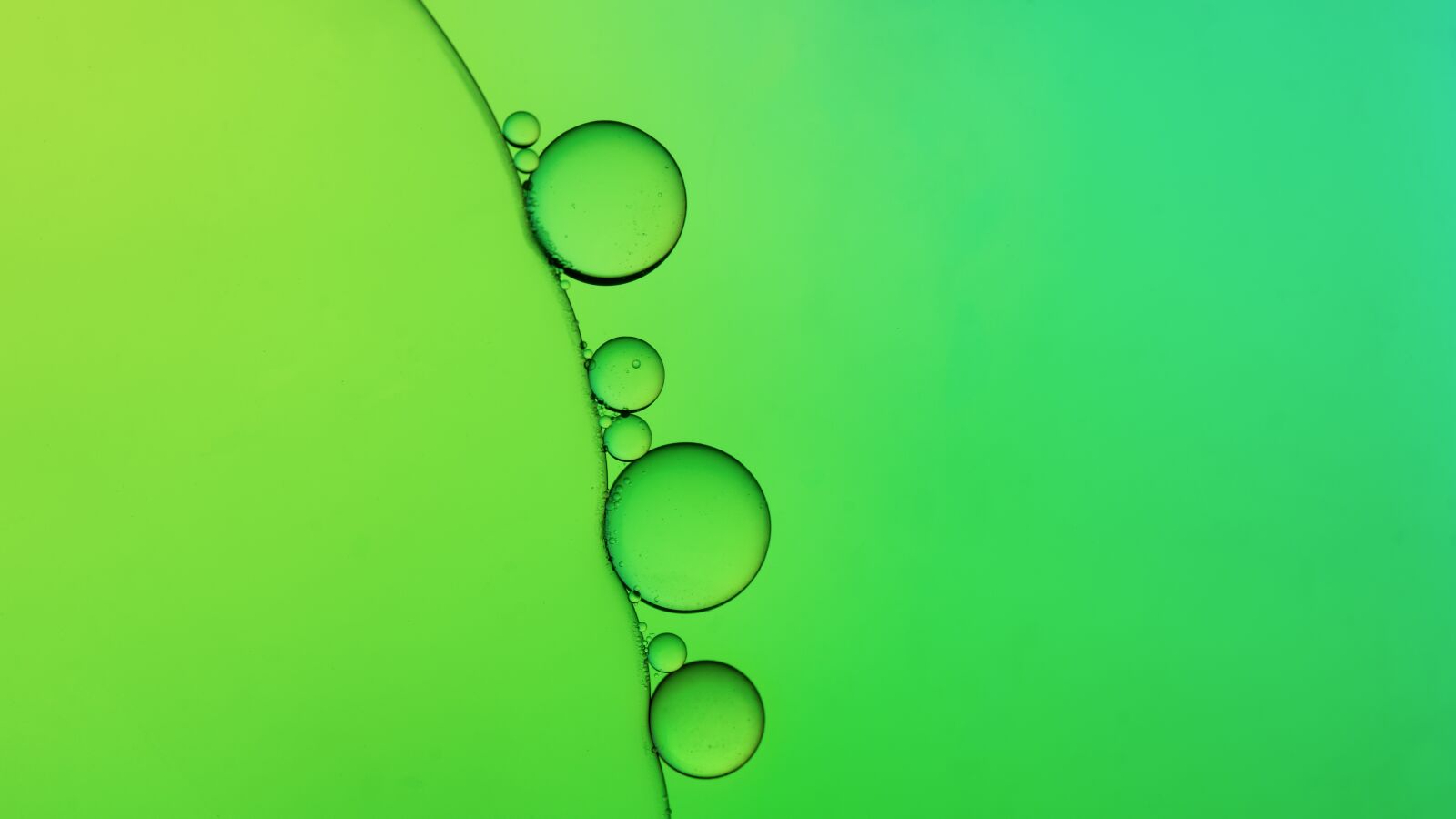 Sony a7 sample photo. Oil, water, macro photography