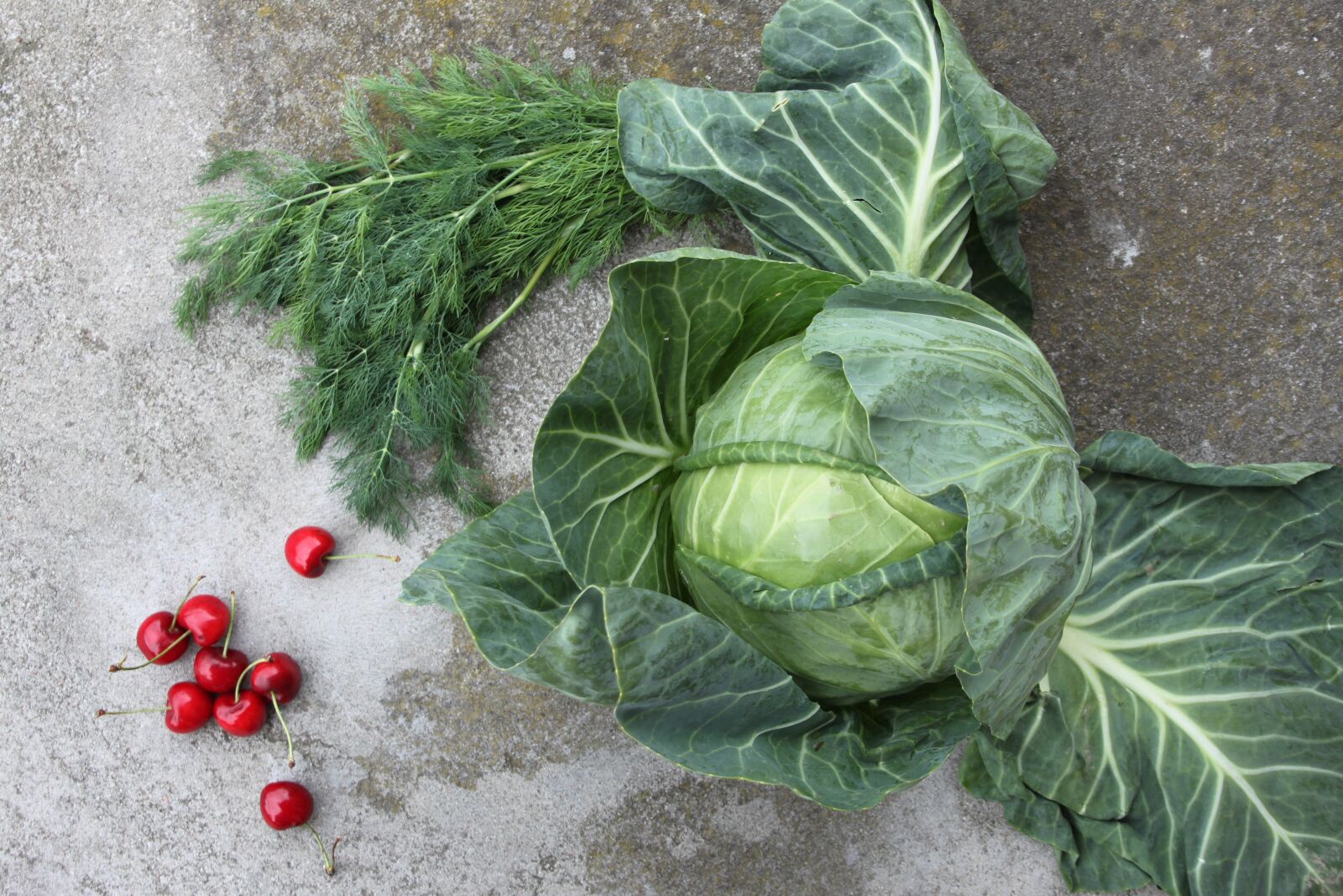 Canon EOS 500D (EOS Rebel T1i / EOS Kiss X3) sample photo. Cabbage, cherries, fruit photography