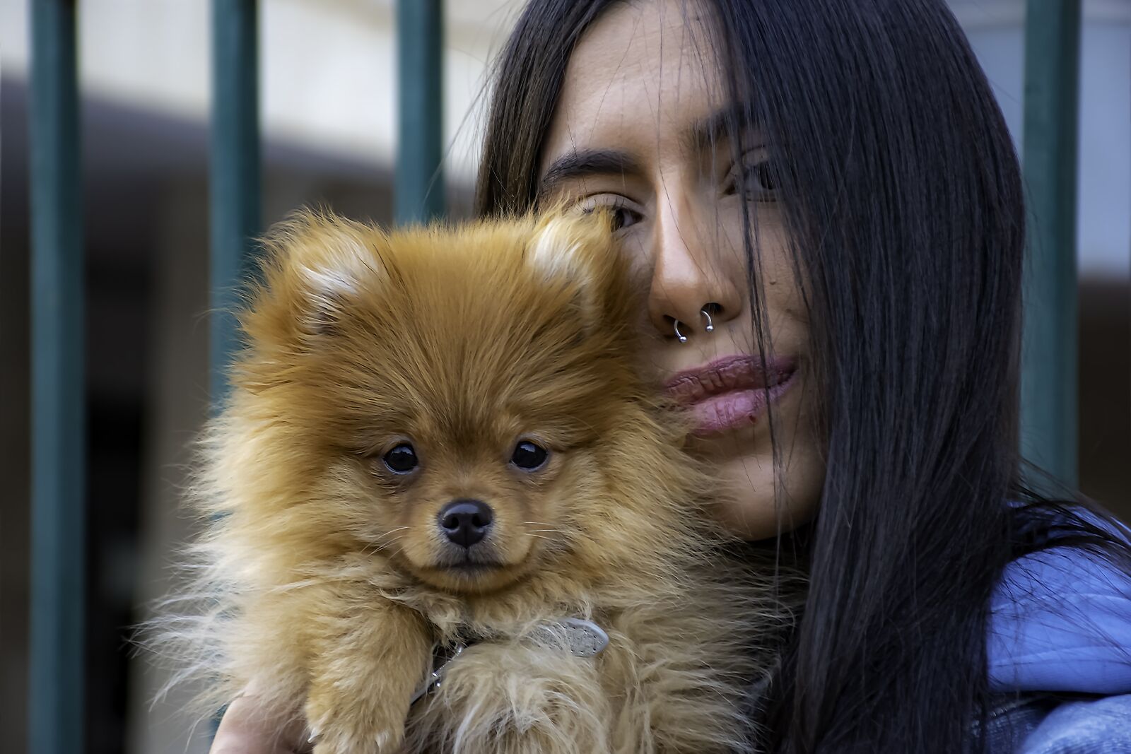 Nikon D5600 sample photo. Dog, puppy, girl photography