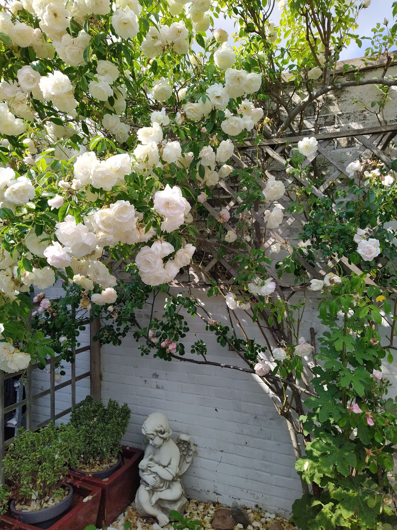HMD Global Nokia 7.2 sample photo. Roses, figurine, pink photography