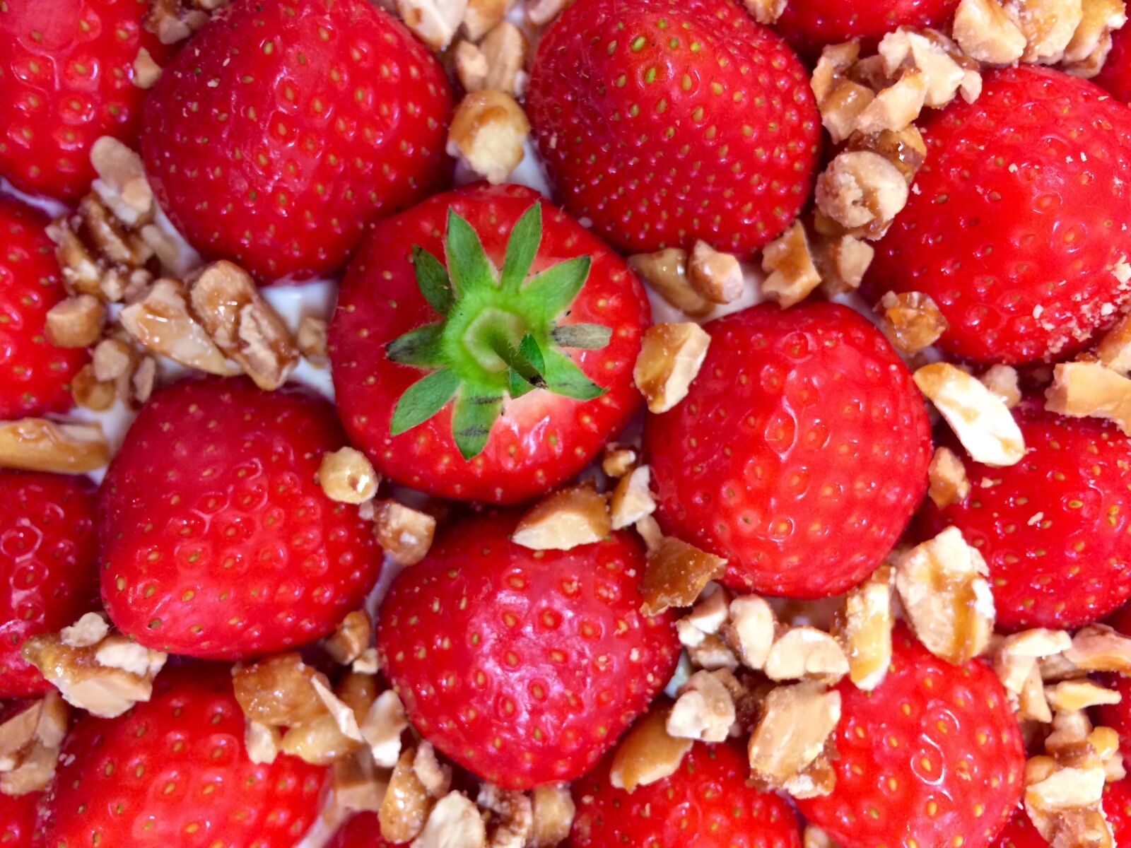 Apple iPhone 5s sample photo. Strawberries, pudding, summer dessert photography